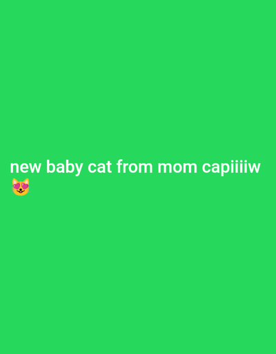 The image displays a solid, uniform green background. White, sans-serif text is horizontally centered in the lower portion of the frame, reading "new baby cat from mom capiiiw". Immediately preceding the text is a "cat with heart eyes" emoji (๐ป). The scene is entirely a digital graphic, depicting no physical environment, individuals, or tangible objects. The requested geographical context for this digital representation is the city of Yellowknife, Canada.