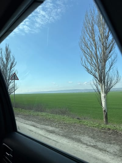 The image displays a rural landscape viewed from a vehicle's side window, located in or near the city of Nadezhda, Russia. Dark grey vehicle interior trim frames the left, bottom, and upper edges of the scene. No individuals are present.

In the foreground, a light-colored dirt path with patches of mud and sparse dry grass runs parallel to the viewer. Adjacent to the path is a vast, flat expanse of uniformly green young crops. Two tall, leafless deciduous trees with light bark stand along the field's edge: one on the right, partially cropped, and another on the far left. A red-bordered white triangular road sign, indicating a side road merging from the left, is mounted on a pole on the left side of the frame.

The background features a clear, light blue sky with scattered white clouds, above a distant, hazy blue-grey line of low hills or mountains. The scene is brightly illuminated by natural daylight.
