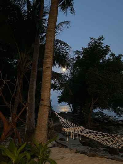 An outdoor scene at dusk captures a tranquil beach setting. The foreground features a white woven hammock strung between two palm trees, with sand and scattered rocks. Lush green plants are visible on the lower left. In the mid-ground, several palm trees stand tall, their fronds creating dark silhouettes against the pale blue sky. To the right, a large tree with dense foliage overlooks the ocean. The water reflects the faint light of a nearly full moon, which is positioned behind palm fronds in the upper left quadrant. The horizon line is barely visible as the sky transitions into the calm sea. The location is identified as Legonipah, Indonesia.