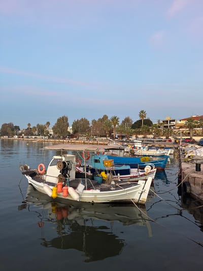Several colorful boats line a harbor, reflecting on the calm water. Orange and white buoys adorn the boats, which range in color from white to blue. Palm trees and buildings stand along the waterfront, under a clear blue sky. Dock lines crisscross from the boats to the pier, securing them in place.