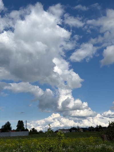 The image depicts a landscape in Ol'khovo, Russia, under a partly cloudy sky. In the foreground, a grassy field with wildflowers and some dense foliage. In the background, a line of trees partially obscures buildings. Power lines stretch across the scene. Cumulus clouds are prominent in the sky, some with shadows indicating varying depth. The image orientation is vertical.