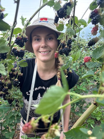 A young woman with a blonde braid, wearing a light-colored bucket hat and a black t-shirt, smiles while holding a blackberry bush. The hat has the word "VIETNAM" embroidered on it, with the Vietnamese flag next to it. The t-shirt has a white graphic design that appears to be of temples. She is surrounded by numerous ripe blackberries and green leaves. The scene is outdoors, with lush vegetation and what appears to be a cloudy sky in the background. The image suggests a sunny day, likely during the harvesting season for blackberries. The woman's expression is joyful and engaged, as if she is enjoying the experience of picking berries. The overall setting is a blackberry farm or garden.