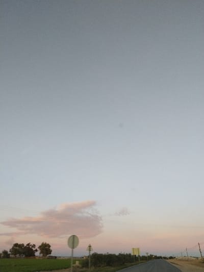 The image captures an expansive rural landscape under a twilight sky, likely at sunset or sunrise. The sky dominates the upper two-thirds of the frame, transitioning from a light grey-blue at the top to soft pink and orange hues near the horizon, illuminated by the low sun.
A prominent, elongated cloud formation on the left, rendered in pale pink, has a distinct shape that vaguely resembles an animal, possibly a rabbit or a similar creature, with a discernible "head" and "body." Below the sky, a paved road stretches into the distance, receding towards the right side of the frame. On the left, a vibrant green field is visible, bordered by a line of trees with sparse foliage further back.
Along the roadside, two indistinct road signs are present on the left: a circular sign mounted on a pole with a smaller, triangular warning sign beneath it. A partially obscured yellow rectangular sign is also visible in the distance on the right side of the road. Utility poles and power lines horizontally traverse the middle ground, with additional vertical lines on the far right. The scene conveys a sense of peaceful openness. Small dark spots, likely dust on the camera sensor, are visible against the sky. The location context is Torre Pacheco, Spain. No discernible text is visible in the image.