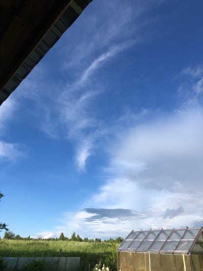 The image depicts a clear blue sky with wispy white clouds. In the foreground, on the left side, a wooden roof overhang is visible. To the right, a greenhouse with a translucent plastic roof and walls is situated in front of a field of green grass and trees. The scene appears to be a rural landscape in the city of Uriupino, Russia.