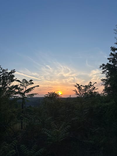 The image captures a sunset over a natural landscape in Pisanets, Bulgaria, viewed from an elevated perspective. The sky occupies the upper two-thirds of the frame, displaying a gradient from light blue in the zenith to pale yellow and orange hues at the horizon, indicative of the setting sun. Several wispy, elongated white clouds, potentially cirrus clouds or contrails, are visible across the mid-to-upper sky, catching the light of the sun. A prominent, thick white cloud streak extends diagonally from the mid-left towards the upper-right. The sun itself appears as an intense orange-yellow disc, positioned low on the horizon, slightly to the right of the central vertical axis, partially obscured by distant terrain and foreground foliage. Below the horizon, a dark, undulating line delineates distant hills or a treeline. The immediate foreground is densely filled with the dark silhouettes of various trees and leafy vegetation, appearing predominantly black or deep green due to backlighting. This foliage frames the lower and side edges of the sunset view. Distinctive compound leaves are discernible on a tree in the central-left foreground. No individuals, animals, or man-made structures are present within the frame.
