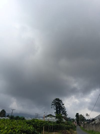 The image depicts an outdoor scene in Koipa, Papua New Guinea, under heavily overcast, dark grey skies. The upper two-thirds of the frame are dominated by dense cloud cover, indicating a gloomy or pre-storm atmospheric condition.
In the foreground, lush green vegetation, possibly a tea plantation, occupies the lower-left quadrant. Moving towards the mid-ground, several white, domed structures, consistent with greenhouses, are visible amidst the greenery. Multiple utility poles with power lines extend across the middle distance. A prominent, tall, dark green coniferous tree stands centrally in the mid-ground, partially obscuring a building with a light-colored roof behind the greenhouses.
To the right, a narrow, paved road or path descends, bordered by a textured concrete or stone wall. More scattered trees and indistinct buildings are visible along the road's edge. In the far background, faint outlines of mountains or hills are discernible, partially obscured by atmospheric haze or clouds. There are no people, animals, or discernible actions present in the scene. The overall environment suggests an agricultural or semi-rural setting.