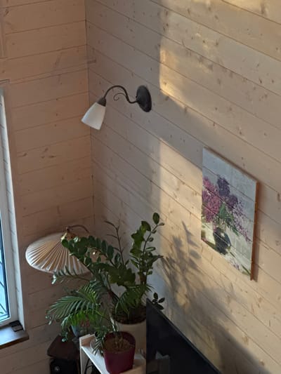 The image displays an interior room, reportedly located in Dubki, Russia, captured from an elevated perspective looking down into a corner. The walls are uniformly clad with light-toned, horizontal wooden paneling. A vertical window with a white frame and a light wooden sill is visible along the left edge. An antique-style wall sconce, featuring a dark, curved metal arm and a white, conical glass shade, is mounted on the upper wall section.

On the right wall, a rectangular piece of artwork hangs, depicting a still life of purple and pink lilac blossoms arranged in a dark vase against a textured, light background. Direct sunlight enters the room, casting distinct shadows of various objects, including plants and the sconce, onto the right and upper wall surfaces.

In the lower-left and central-bottom areas of the frame, multiple potted green plants are arranged. These include a large plant with dark green leaves in a white cylindrical pot, a smaller plant with palm-like fronds in a dark pot, and a plant in a red pot containing dry soil. A light-colored, pleated, fan-shaped lamp shade is positioned behind some of the plants. A dark, rectangular screen, consistent with a television or monitor, is partially visible in the lower-right foreground. No individuals, actions, or interactions are present in the scene.