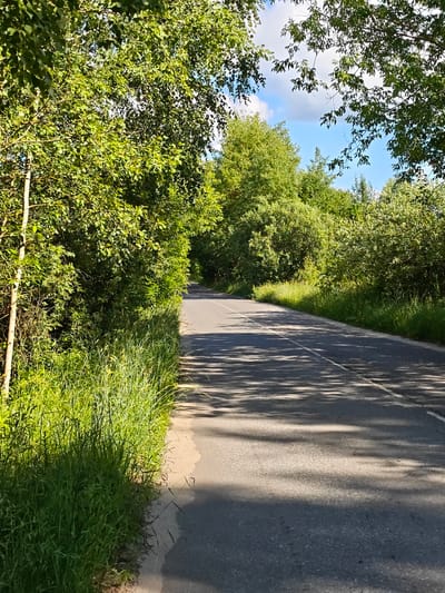 An asphalt road curves through a lush, green, tree-lined environment. Tall, dense foliage flanks both sides of the road, casting dappled shadows across the asphalt. The road itself is in fair condition, with a visible white line marking the center. The surrounding vegetation is thick and verdant, indicative of a natural or semi-rural setting. The sky above is a clear blue, interspersed with a few white clouds. No people or vehicles are present in the image. The scene suggests a sunny day in a temperate climate, likely during the summer months, in the vicinity of Ковригино, Russia, given the characteristic appearance of Russian countryside roads and foliage.