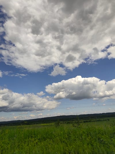 The image depicts a rural landscape under a cloudy sky. A vast, green field with tall grass occupies the foreground. In the middle ground, a dense line of dark green trees forms a horizon. Above the trees, a bright blue sky is visible, filled with large, white, cumulus clouds, some of which are tinged with gray, indicating potential rain. Two parallel lines, possibly power lines, are faintly visible stretching across the middle of the image, horizontally. The scene appears to be located in or near the village of Кварса, Russia, given the natural, undeveloped environment. No people or specific objects of interest are discernible in the image.