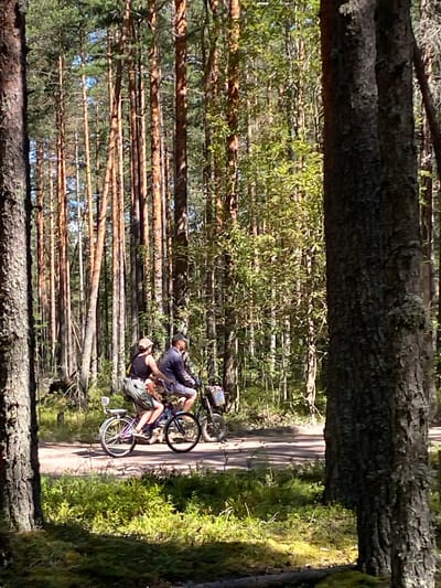 A full outdoor shot shows two individuals riding bicycles on a dirt road that cuts through a forest. The person in front is wearing a dark t-shirt and shorts and a beige cap, with a light-colored bag on their back. They are riding a bicycle with a silver frame and white wheels, with a pink and blue sticker on the rear fender. The person behind them is wearing a dark t-shirt and shorts, riding a bicycle with a dark frame and silver wheels, carrying a basket on the handlebars. The forest consists of tall, slender trees with green foliage. The ground on either side of the road is covered with grass and moss. The sky is visible through the trees and is a clear blue. The scene is captured in Leipyasuo, Russia.