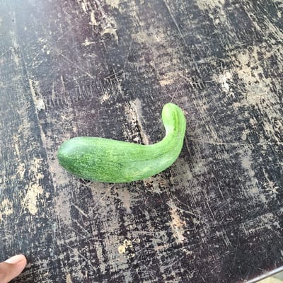 A green cucumber with a curved stem lies on a dark, scratched wooden surface. A person's thumb is visible in the lower left corner. The scene is likely outdoors, possibly in a rural area of Rhieng Blang, Indonesia, given the natural lighting and rustic setting.