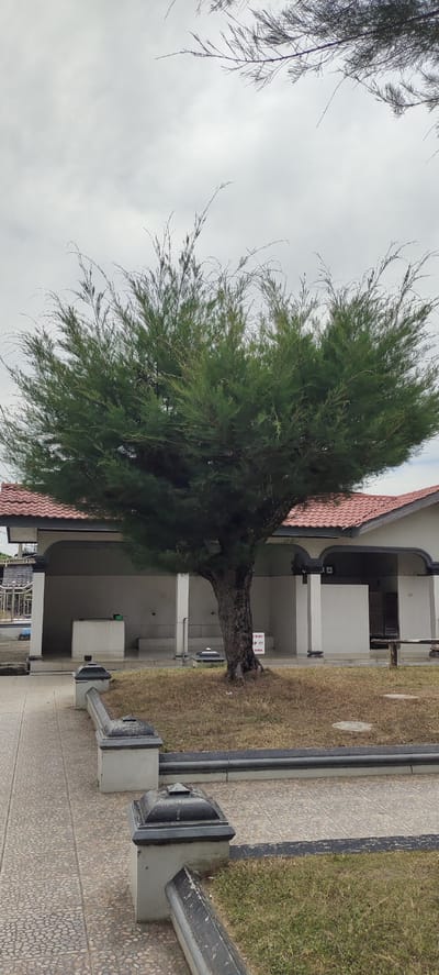 The image shows a tree in front of a building with a red tiled roof. The building appears to be a public facility, possibly a restroom or a prayer area, with open archways. There are white tiled structures and some plumbing fixtures visible inside the building. The foreground features a paved walkway with a stone pattern, bordered by grass and low concrete structures with dark grey tops. A sign on the tree trunk is partially visible and appears to be in Indonesian, with the word "SUCI" visible. The sky is overcast. The overall scene suggests an outdoor public area in a tropical or subtropical climate. This location is identified as Lhokdagang, Indonesia.