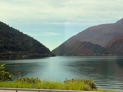 The image shows a wide, calm lake flanked by tree-covered mountains. In the foreground, tall green grass and some leafy bushes are visible, separated from the lake by a white barrier. The lake has a rippled surface, suggesting a gentle breeze. The mountains on either side are dense with trees and rise steeply from the water's edge. In the distance, on the left side of the lake, a multi-level highway with bridges and tunnels is visible, built into the side of the mountain. A few buildings are scattered along the shoreline in the distance. The sky is overcast with soft, pale blue and white clouds. The scene is a natural landscape with some man-made infrastructure integrated into it, likely depicting the area near Melide, Switzerland, given the characteristic landscape of the region around Lake Lugano. There are no people visible in the image.