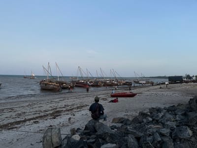 The image depicts a vibrant coastal scene at Bagamoyo, Tanzania, likely during the late afternoon or early evening. The setting transitions from a sandy, rocky shore to calm ocean waters under a clear, pale blue sky.
The main subjects are numerous traditional wooden sailboats, known as dhows, positioned along the waterline and further out in the shallow sea. Many of these dhows have their tall masts standing, with some sails furled. They appear to be actively used, with several individuals seen around and within the boats, suggesting activities like loading, unloading, or preparations for departure. A few boats are anchored further offshore, including one under sail in the distance on the left.
Numerous people are present on the beach and around the dhows. In the immediate foreground, a person with their back to the camera sits on a large dark rock, observing the scene. Near them, a bright red small boat or kayak rests on the sand, with one or two individuals lying or sitting beside it. Further down the beach to the right, a large dark truck is parked on the shore, implying transport or logistical operations related to the boats. The sandy shore is covered with patches of seaweed and debris.
The light is soft and diffused, characteristic of twilight hours, casting a gentle glow over the scene. The water is calm, reflecting the serene atmosphere. No discernible text is visible within the image. The scene conveys a sense of daily life and work in a bustling coastal community.