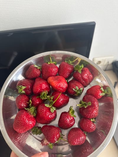 A shallow stainless steel bowl filled with ripe, red strawberries sits on a reflective surface, possibly a countertop. The strawberries vary in size and shape, with some showing green stems and leaves. A human hand, with manicured nails, is visible on the right side of the image, reaching towards the bowl. In the background, a dark, reflective object, likely a television screen, is partially visible. To the left of the screen is a textured white wall. The overall lighting suggests an indoor setting, with no specific indicators of the time of day or weather conditions. The scene appears to be a simple, everyday moment of presenting or preparing fresh fruit. There is no visible text in the image.
