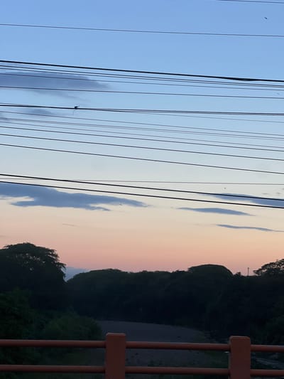 The image depicts a serene sunset scene in San Miguel, El Salvador. In the foreground, an orange railing frames a view of lush green trees and a dry riverbed. The sky transitions from a pale blue at the top to soft hues of pink and orange near the horizon, suggesting the setting of the sun. Several power lines crisscross the sky, with a small bird perched on one of them. The silhouettes of trees line the horizon, adding depth to the landscape. The overall impression is one of tranquility and natural beauty, with the infrastructure of power lines serving as a subtle reminder of human presence.