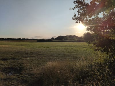 This is a photograph taken at sunset in the city of Brielow, Germany. The image depicts a wide, grassy field with tall, dry grass in the foreground. In the background, a line of trees and bushes forms a dark silhouette against the sky. The sun, a bright orb with visible rays, is setting in the upper right quadrant of the image, casting a warm glow and creating lens flare. The sky is a gradient of pale blue and soft orange, with a few wispy clouds. A large tree branch with green leaves overhangs the scene from the upper right corner, partially obscuring the sun. The overall impression is one of a tranquil rural landscape at dusk.