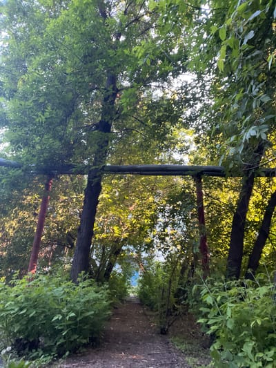 The image depicts a dirt path leading through a wooded area. Tall trees with dense green foliage line the path, with sunlight filtering through the leaves. A horizontal pipe is suspended between two trees across the path, supported by red posts. The path itself is uneven and appears to be made of packed dirt and small stones. Lush green undergrowth is abundant on either side of the path. In the background, the path opens to a brighter area, possibly a clearing or a larger open space, with a hint of blue in the distance. The scene suggests a natural, perhaps slightly overgrown, outdoor setting within an urban or suburban environment, potentially a park or a less maintained recreational area.