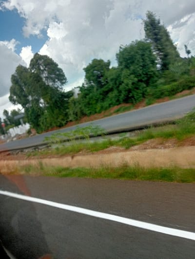 The image displays a daytime roadside view in Karatina, Kenya, captured from a moving vehicle. The foreground features a dark asphalt road with a prominent, unbroken white lane marking stretching across the lower part of the frame. The road surface appears somewhat reflective, possibly from dampness.
Adjacent to the road, a narrow verge consists of green grass and patches of reddish-brown soil. Beyond this, a gentle slope is densely covered with a variety of green trees and lush foliage, forming a thick line along the road. The trees vary in size and shape, with some having full, rounded canopies and others appearing tall and coniferous towards the right side of the image. In the background, the sky is mostly covered by large, white cumulus clouds, with glimpses of blue sky visible, suggesting fair weather.
No people or identifiable structures are clearly visible, except for a faint, light-colored object barely discernible behind the trees on the far left. The perspective, slight motion blur, and reflections suggest the photo was taken through a window while traveling. The scene depicts a green and verdant landscape lining a paved road. There is no visible text in the image.