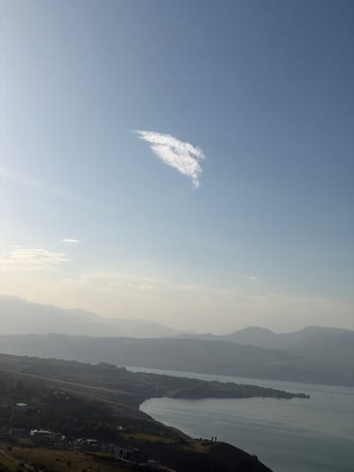The image captures a panoramic view from an elevated vantage point overlooking a town situated along the coast of a large body of water, likely a reservoir or lake, in the city of Yangikurgan, Uzbekistan. In the foreground, a dark, undulating hillside slopes down towards the water, sparsely dotted with dry vegetation and a few scattered buildings or structures, some of which appear to be under construction or unfinished. Two figures are visible standing on the crest of the hill, silhouetted against the lighter sky.
The midground reveals the town of Yangikurgan, a ribbon of development stretching along the curved shoreline. Numerous buildings, varying in size and architectural style, are clustered together, interspersed with green vegetation, suggesting agricultural activity or parks. Roads and pathways are discernible, winding through the urban landscape. The body of water, with a calm, reflective surface, occupies a significant portion of the image, its color a muted blue-green. A few small boats or vessels can be seen in the distance on the water.
The background is dominated by a series of rolling, hazy mountains that recede into the distance, their contours softened by atmospheric perspective. The sky is a pale blue, with a few wispy clouds, one of which, positioned in the upper center of the frame, is distinct and bird-like in shape. The overall lighting suggests either early morning or late afternoon, with a soft, diffused light illuminating the scene. The environment appears to be a semi-arid or mountainous region, characterized by the dry vegetation in the foreground and the layered mountain ranges.