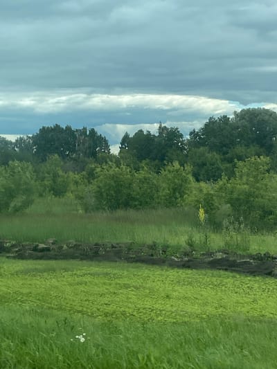 A wide shot captures a natural landscape under a cloudy sky, likely on the outskirts of Nadezhdino, Russia. The foreground features lush green grass, with a patch of lighter green vegetation or ground cover slightly further back. A dark, uneven strip of earth or rock runs horizontally across the mid-ground, separating the lighter green patch from a dense line of trees and foliage. These trees form a green barrier extending across the middle distance, with some appearing taller and darker than others. The sky above is filled with heavy, gray clouds, with hints of light breaking through in some areas. No people or animals are visible in the frame.