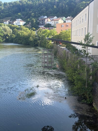 The image shows a view across a river towards a town situated on a hillside. In the foreground, the river is calm with some aquatic vegetation and debris along the right bank. A concrete wall with railings and small trees lines the riverbank. To the right, a multi-story building with numerous windows is visible. On the hillside in the background, houses with various colored roofs and facades are nestled among lush green trees. A suspended wooden structure hangs over the water from a dark pipe extending from the building on the right. The scene appears to be in Eichstätt, Germany, given the architectural style of the buildings and the natural landscape. There are no people visible in the image.