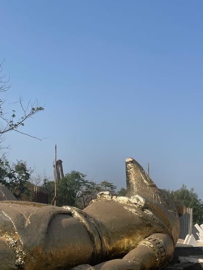 A statue in Mira-Bhayander, India, possibly of an animal or deity, stands facing left in the image. The sky is clear and blue. The statue appears to be covered in a golden material, potentially paint or foil. The location appears to be an outdoor setting with trees and vegetation in the background. Behind the statue, there are miscellaneous objects, potentially construction materials, including what looks like white foam sheets and a corrugated metal sheet. A tall pole or tree trunk is also visible in the background.