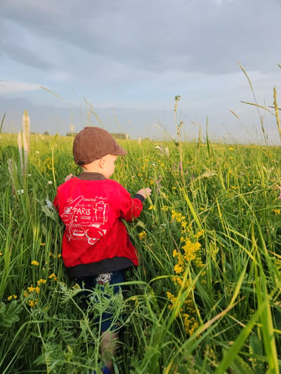 A young child wearing a brown cap and a red jacket with "Paris" and images of the Eiffel Tower and a scooter printed on it, stands facing away from the camera in a field of tall green grass and yellow wildflowers. The child's legs are obscured by the grass, but blue trousers are visible. The sky above is cloudy and a light blue. The scene appears to be an outdoor natural environment, possibly a meadow or field, and is not explicitly located in Atameken, Kazakhstan.