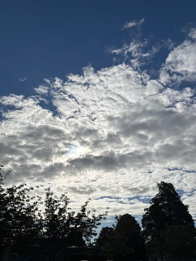 The image shows a silhouetted view of trees against a sky filled with fluffy white clouds. The sun is visible through a gap in the clouds, casting a bright light. The trees are dark and appear to be deciduous, with some leaves still visible. The sky is a deep blue, with patches of clear sky between the clouds. The overall impression is one of a bright, sunny day with some cloud cover. The image does not depict Druten, Netherlands, or any specific urban setting.