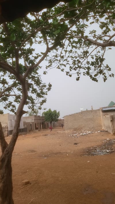 The image depicts a scene in Jogana, Nigeria. A building constructed of cinder blocks is visible on the right side of the frame. The ground is dirt. In the center, there is a smaller green tree. A person is seen wearing a red garment in the distance. A tree with green leaves is prominent in the foreground on the left. Above the building, there is a cloudy, overcast sky.