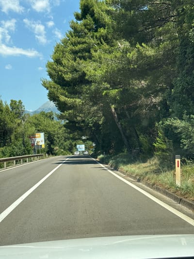 The image depicts a road in Blizikuće, Montenegro, with a view of a mountain in the distance. The road is paved and has a white line dividing the lanes. On the left side of the road, there is a metal guardrail and several billboards. The right side of the road is bordered by a grassy embankment with a reflective road marker. Lush green trees, primarily pine trees, line both sides of the road, with dense foliage creating a canopy overhead in some sections. The sky is blue with scattered white clouds. In the distance, on the road, a few white cars are visible. The overall scene suggests a scenic drive through a forested area with a mountain backdrop.