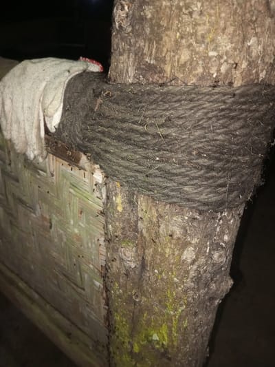The image depicts a close-up, low-light scene in Naya Andura, India, focusing on the junction of a wooden structure and a tree. A tree trunk, exhibiting rough bark with patches of light green moss, is visible on the right. A thick, dark, fibrous rope is tightly wrapped multiple times horizontally around the tree trunk at mid-height, appearing to secure something. To the left, a woven panel, possibly bamboo or wicker with a diagonal pattern and faded light-brown coloration, connects to the tree trunk. Resting on the upper edge of this woven panel, to the left of the tree and above the rope, is a soiled white fabric work glove with a visible red cuff. Numerous dark-colored ants are present and crawling across the tree bark, the woven rope, and the surface of the woven panel. The background is dark and out of focus, indicating low illumination or nighttime conditions. No human figures are present.