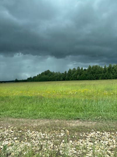 This is a photograph of a rural landscape under a stormy sky. A vast field of green grass, dotted with yellow wildflowers, dominates the foreground and middle ground. A line of dense green trees forms a distant treeline. The sky is filled with dark, heavy clouds, suggesting an approaching storm. The bottom of the image shows a dirt path with scattered white rocks and sparse vegetation. The location is identified as Tamshiner, Russia, implying this scene is a view of the natural environment outside the city. There are no people or animals visible in the image. The scene is static and captures a moment of natural atmospheric conditions.