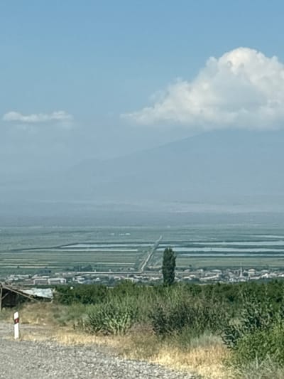 This media file depicts a landscape scene, likely in or around Paruyr Sevak, Armenia. The image is oriented vertically, with the sky and clouds occupying the left portion and a rural landscape on the right.

The left side of the image is dominated by a clear blue sky with a large, white cumulus cloud formation. The right side of the image shows a cultivated field, possibly with rows of crops, stretching into the distance. Along the edge of the field, there is a line of greenery, which appears to be bushes or trees. Further to the right, a gravel or dirt path is visible, with some dry grass and a small, white object with red markings near the bottom edge, possibly a marker or signpost. A single tree stands prominently in the middle ground of the field. In the background, there are faint structures that suggest a small settlement or buildings.

The lighting suggests it is daytime, likely mid-morning or afternoon, given the brightness of the sky and the shadows cast. The weather appears to be clear and sunny. There are no people visible in the frame, nor any specific activity taking place. The overall impression is one of a tranquil rural environment. No legible text is visible within the image.