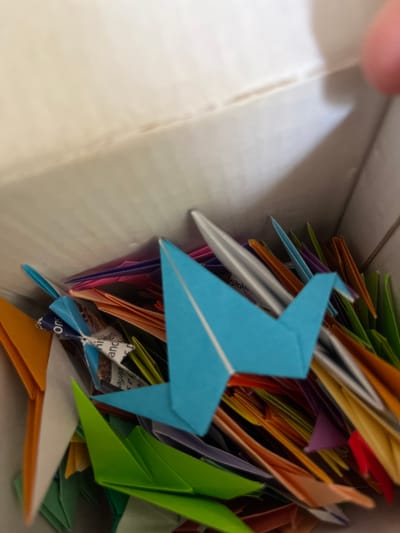 The image captures an overhead, downward-looking view into a container filled with a large collection of small, colorful origami paper cranes. The dominant subject is a light blue paper crane positioned centrally in the foreground, appearing sharp and in focus. Behind it, a dense mass of other folded paper cranes is visible, creating a vibrant jumble of colors including orange, various shades of green, purple, red, and yellow. Some cranes are made from plain colored paper, while others appear to be fashioned from recycled paper with printed text or patterns.

Fragments of text are discernible on some of the paper used for the cranes, such as "dible.", "has", "ance", "ons", and "defie". A slender, silver-colored object, possibly a pen or another folded piece of paper, is partially embedded within the pile of cranes towards the left side. The interior walls of the container, possibly a box, are visible on the left and top, featuring a light, neutral color and subtle vertical striations. A small portion of a human finger is faintly visible in the upper left corner, suggesting human interaction with the container. The lighting is soft and even, typical of an indoor setting. There are no specific cues for time of day or weather, nor any discernible emotions. The location context provided is Middle Park, Australia, though this is not visually indicated in the image itself.