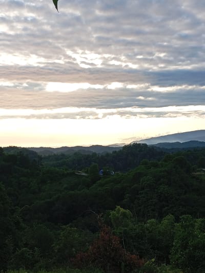 The image captures a serene landscape in Bagazhvyashta, Abkhazia, likely during dawn or dusk. The sky is filled with a dramatic display of clouds, with horizontal bands of light breaking through, suggesting the presence of the sun low on the horizon. These illuminated streaks create a soft, ethereal glow that contrasts with the darker, layered clouds above and below.

Below the sky, a vast expanse of rolling hills covered in dense, dark green foliage stretches into the distance. The trees are tightly packed, forming a textured carpet that obscures any details of the terrain beneath. In the middle ground, a few lighter patches of vegetation or perhaps smaller buildings can be discerned amidst the greenery.

Further in the background, a series of mountain ranges recede into the hazy distance, their outlines softened by atmospheric perspective. The outermost ranges appear as faint blue silhouettes against the brightening sky. On the far right of the mid-ground, a small blue object, possibly a tent or a structure, is visible amidst the trees. The overall impression is one of natural beauty and tranquility, with the natural environment dominating the scene.