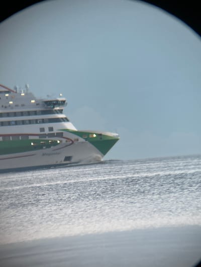 The image shows a ferry named "Megastar" sailing on a body of water, likely the Baltic Sea, near Haabneeme alevik, Estonia. The ferry is white with green accents and appears to be moving at a moderate speed, indicated by the spray at its bow. The sky is overcast and a light blue-gray color. The water is choppy, with whitecaps visible. The ferry's windows are illuminated, suggesting it is daytime and the interior lights are on. The overall scene depicts a vessel in transit in a maritime environment.