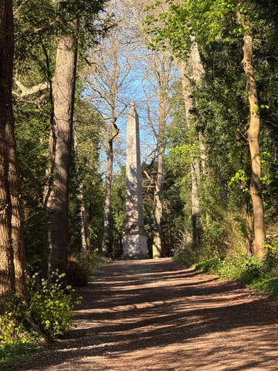 A pathway in a wooded area leads towards an obelisk. The path is lined with trees, some of which have fallen across it. The obelisk is tall and slender, and the sky is visible through the trees. The image was taken in Dacorum, United Kingdom.