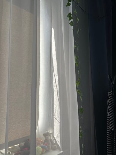 The image shows a window with a white sheer curtain. Above the curtain, there is a faux ivy garland strung against a dark background, possibly part of the room's decor. To the right of the window, obscured by the curtain, are several stuffed animals. The lower part of the window has a light-filtering shade. The scene appears to be indoors, but there is no clear indication of the location being Raduga, Russia or any other specific location.