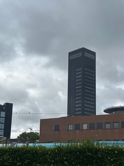 The image captures a view of urban architecture on an overcast day. The primary subject is a tall, dark, rectangular skyscraper with many small, square windows arranged in a grid pattern. The top of this building features two large, horizontal, frosted glass windows. To the right of the skyscraper, a shorter, brown building with a similar window pattern is partially visible. In the foreground, on the right side of the image, is a dense, green bush with small white flowers. The sky is filled with thick, gray clouds, suggesting a cloudy or potentially rainy day. The orientation of the image is such that the buildings appear to be standing upright on a surface below, with the sky above. There are thin, dark lines crisscrossing the image horizontally, possibly representing wires or cables. The overall scene depicts an urban environment with a focus on modern building structures under a somber sky.