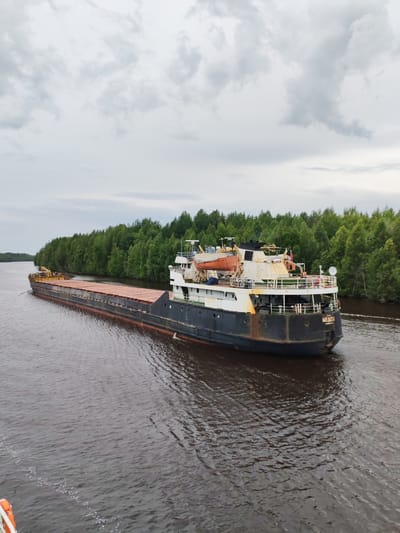 A dark-hulled cargo ship, named "MEAGH" as visible on its stern, navigates a calm, brown river lined with a dense forest of green trees. The ship's deck is loaded with what appear to be wooden planks or cargo covers. The ship has a white superstructure with several decks and life-saving equipment, including an orange life raft. The sky is overcast and gray, suggesting a cloudy or possibly rainy day. The scene appears to be in a natural, perhaps remote, setting, with no other structures or human activity visible apart from what is on the ship itself. The overall mood is one of quiet transit through a natural landscape. The location is identified as Novokemskii, Russia.