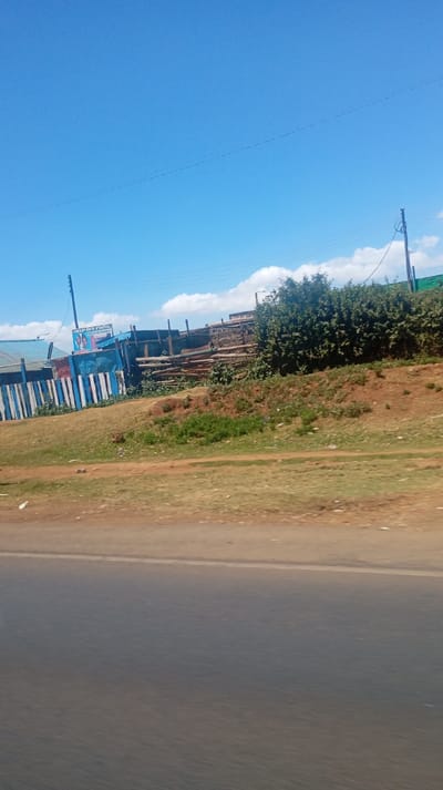 A roadside view reveals a simple, informal settlement under a clear blue sky. Structures are constructed with wood and corrugated metal, some adorned with colorful blue and white paint. Vegetation thrives on a small embankment, obscuring some of the structures. Utility poles are visible, connecting the settlement to power lines. The blurred foreground suggests the photo was taken from a moving vehicle on a road.