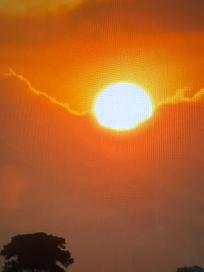 The image shows a bright sun partially obscured by clouds in an orange-tinted sky. A dark silhouette of a tree is visible in the lower right corner. The location is unknown.