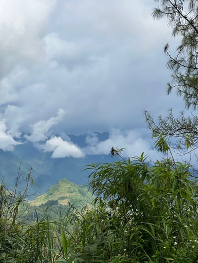 An overcast day provides diffused light over a mountain landscape in Quản Bạ Commune, Vietnam. In the foreground, lush green vegetation, including tall grasses and leafy plants, partially obscures the view of the distant mountains. The mountains, layered and receding into the distance, are covered in green foliage and appear to be terraced in some areas. A prominent conical peak, also green and seemingly terraced, stands out in the middle ground. The sky is filled with dramatic, grey and white clouds, with patches of lighter sky suggesting the sun is behind them. Pine branches with long needles frame the top right of the image. The scene is natural and appears to be captured from a high vantage point.