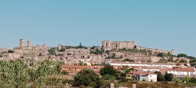 The image captures a panoramic view of the city of Trujillo, Spain, under a clear blue sky. In the foreground, lush green foliage partially obscures the view. Dominating the skyline are ancient structures, including a prominent castle on a hilltop, characterized by its stone walls and imposing architecture. Various other buildings with terracotta roofs and stone facades are nestled on the slopes, creating a dense urban landscape. Two towers, possibly part of a church or another historical building, stand out on the left side of the image. The scene is characterized by its historical architecture and the natural landscape, conveying a sense of timelessness. There are no visible people or ongoing activities.