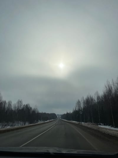 The image depicts a straight asphalt road, likely within the vicinity of Bol'shoi Talmaz, Russia, extending into the distance under an overcast sky. The photograph is taken from inside a vehicle, indicated by the dark, blurred dashboard or windshield frame at the bottom. The two-lane road features a solid white line marking the right edge and a dashed white line separating the lanes. Patches of dirty snow and brown earth line the shoulders on both sides of the road, which is flanked by dense stands of bare deciduous trees, primarily birches, suggesting a late winter or early spring setting. On the right side, a white circular road sign with a dark animal silhouette is visible. The sky is uniformly light grey and overcast, with the sun appearing as a diffuse bright spot in the upper center, partially obscured by clouds. No individuals, vehicles, or active interactions are present in the scene.