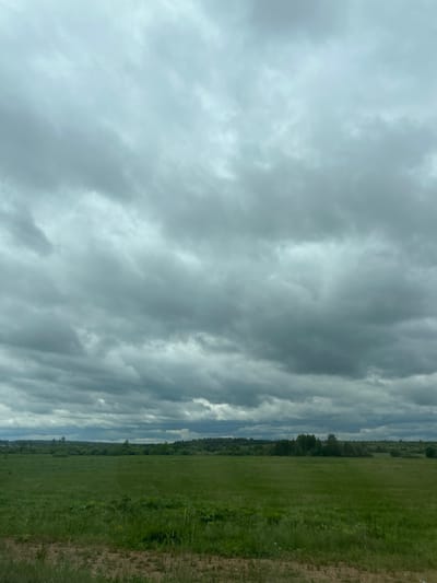 This image captures a wide-angle landscape in Совхозный, Russia, on an overcast day. The scene is bisected horizontally into a sky dominated by clouds and a foreground of green land. The upper two-thirds of the image feature a dense, unbroken expanse of grey and light blue-grey stratus clouds, indicating complete atmospheric cover with no direct sunlight. The lower third displays a vibrant green field, characterized by lush, tall grass and subtle variations in texture. A narrow band of disturbed, brownish earth is visible at the very bottom edge. Along the mid-ground horizon, a continuous line of dark green, fully-leafed deciduous trees stretches across the frame. Further in the distance, additional groups of trees are discernible, and faint outlines suggesting low-rise structures or a settlement are visible towards the left side of the distant tree line. No individuals, animals, or distinct man-made objects are present or engaged in any activity within the observable area. The environment is rural, consisting of open fields and distant woodlands under a heavily clouded sky.