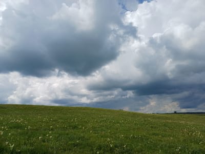 The image depicts a vast, rolling green meadow dotted with small white wildflowers, stretching towards a dark, dramatic sky filled with heavy, overcast clouds. The foreground features lush green grass with scattered white blossoms. The midground shows the gentle slope of the meadow culminating in a distant horizon line. The background is dominated by a turbulent sky with a mix of dark grey and bright white clouds, suggesting an impending storm or a recent downpour. On the far horizon, a few dark trees and a silhouette of what might be buildings are visible. The overall impression is one of natural beauty under a dynamic and possibly ominous sky. The location is specified as the city of Нигаматово, Russia.