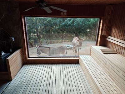 The image shows the interior of a sauna in Krasnovo, Bulgaria. The sauna has wooden benches and walls, and a large window looks out onto a dirt area where two donkeys are standing. One donkey faces left with its head down, the other faces forward. Outside the window, trees are in the background. Inside the sauna, there is a ceiling fan, a water wheel structure on the left side, and two round objects on the window frame.