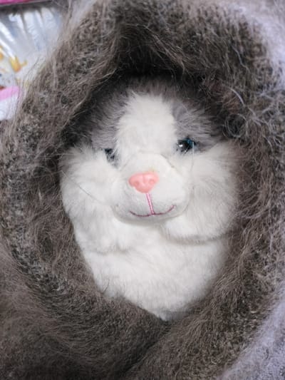 The image shows a close-up, head-on view of a stuffed toy animal, possibly a cat, peeking out from under a large, fuzzy, gray knit hood or scarf. The toy has white fur with gray markings on its head, blue eyes, and a pink nose and mouth stitched with pink thread. The knit material of the hood is thick and textured, with long, wispy gray fibers. The background is out of focus and appears to be a blurred pattern of light colors. There are no people or any discernable elements of the city of Kalach, Russia, present in the image.